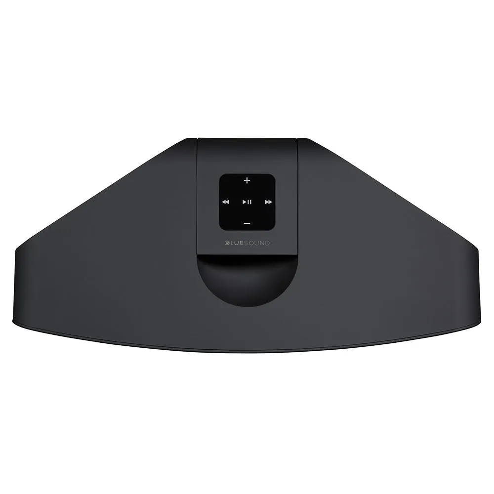Bluesound Pulse 2i Premium Wireless Multi-Room Music Streaming Speaker