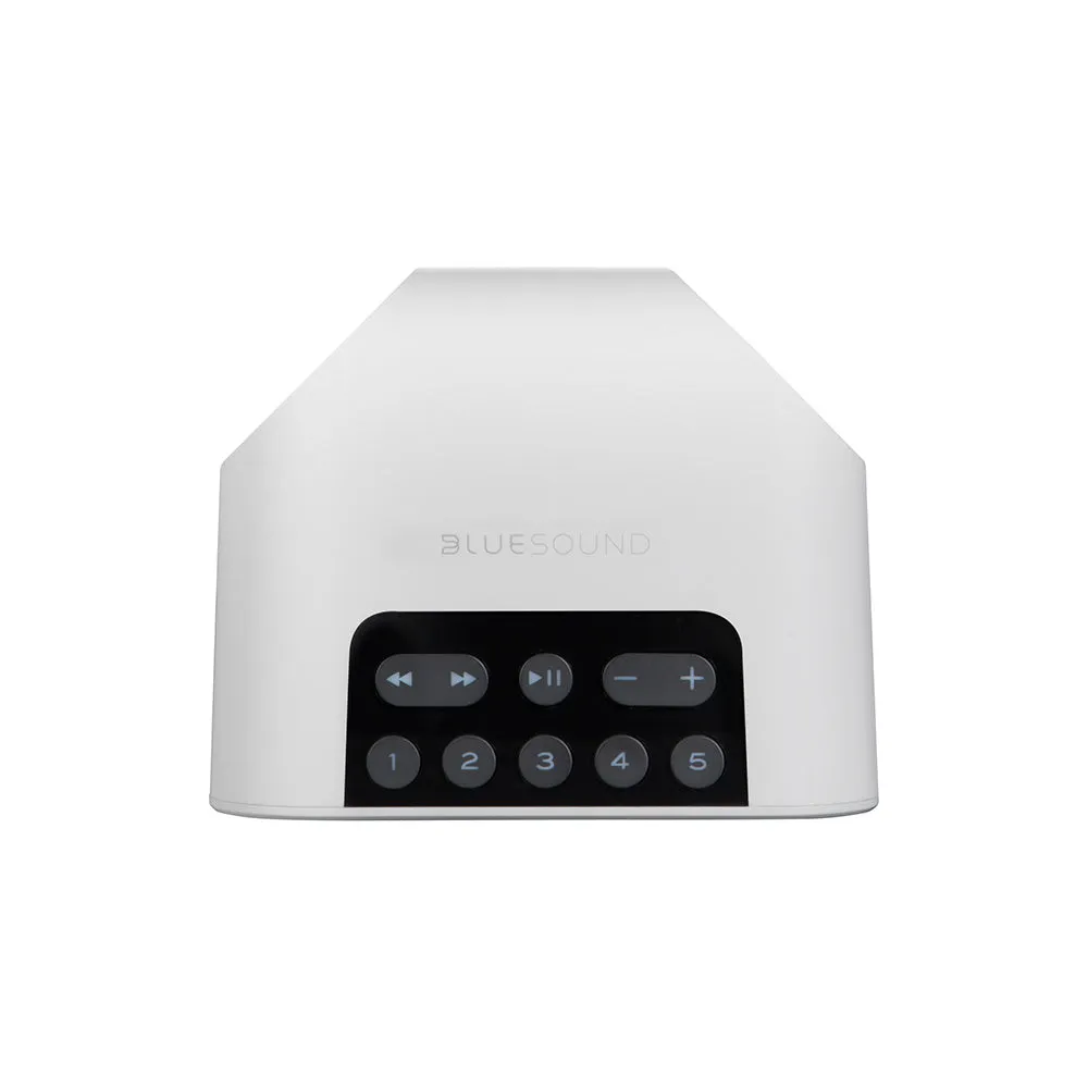 Bluesound PULSE FLEX 2i, belaidis Multi-Room garsiakalbis (įvairių spalvų)