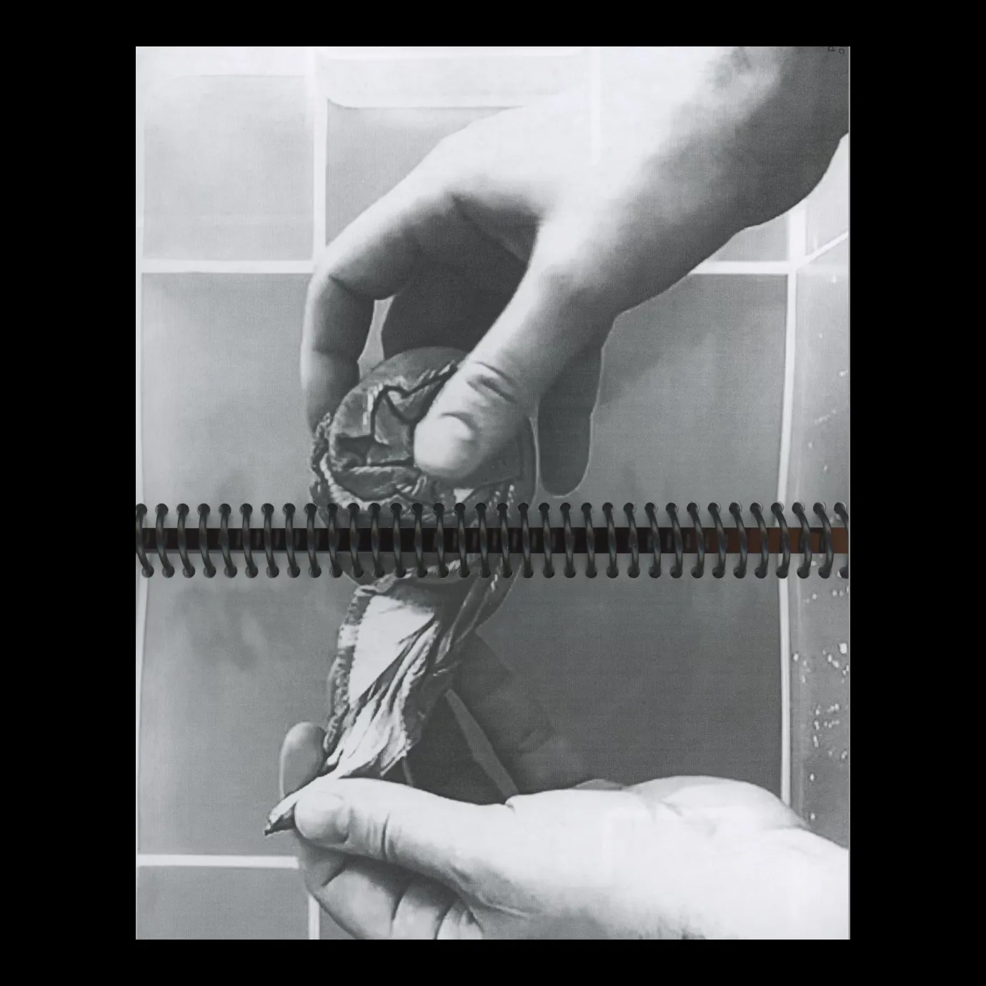 Disc Journal Issue 2.0 “intimacy”