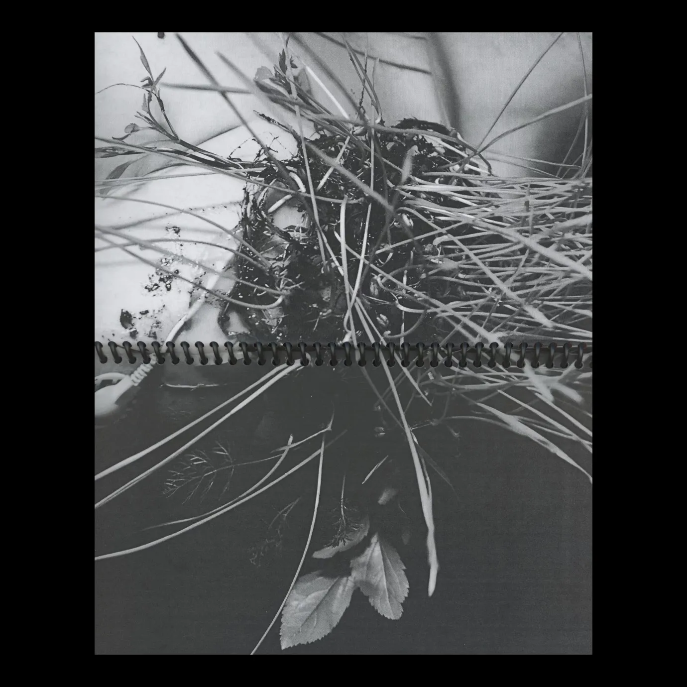 Disc Journal Issue 2.0 “intimacy”