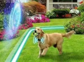 Invisible Fence Service Business Plan