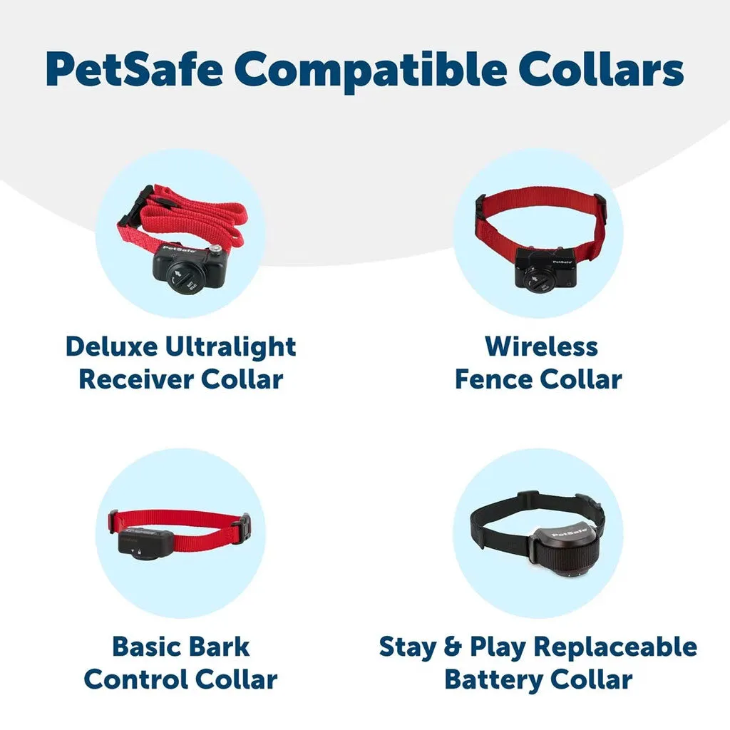 PetSafe RFA-67 6 Volt Replacement Batteries, 2-count
