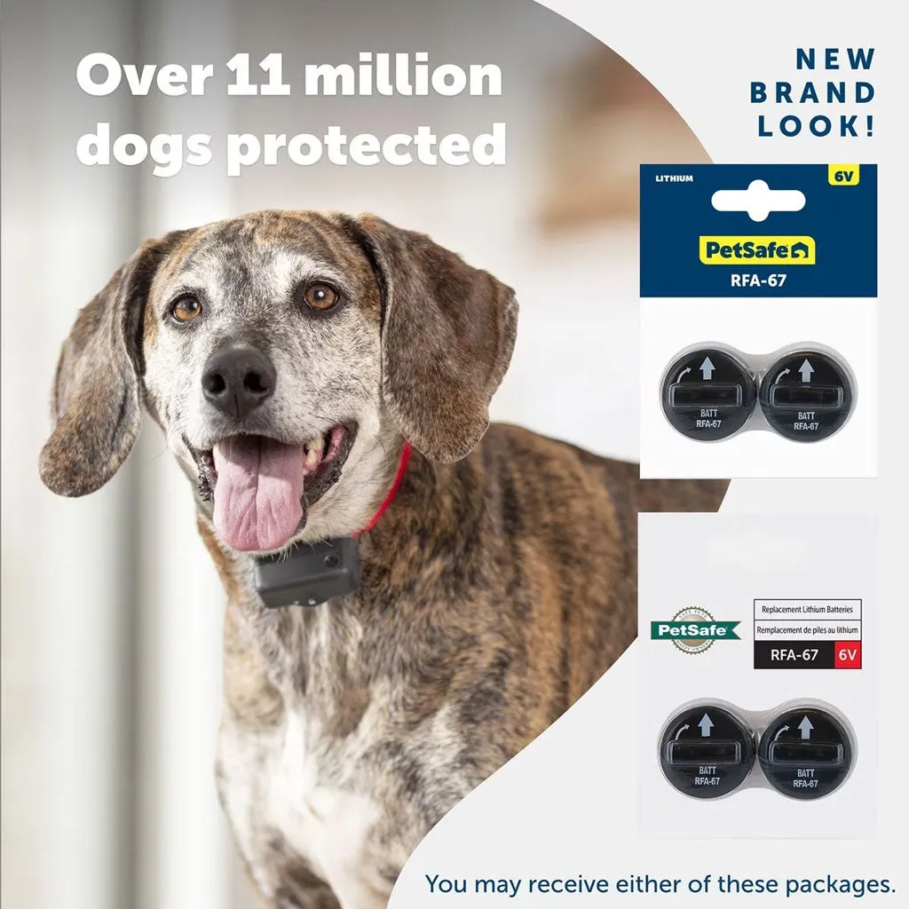 PetSafe RFA-67 6 Volt Replacement Batteries, 2-count