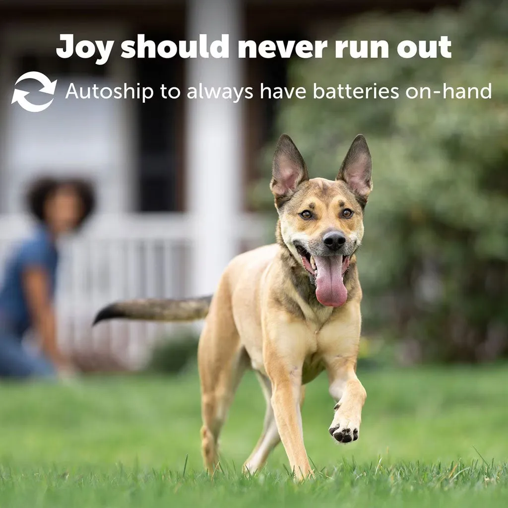 PetSafe RFA-67 6 Volt Replacement Batteries, 2-count