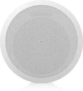 Tannoy CVS 801 Loudspeaker