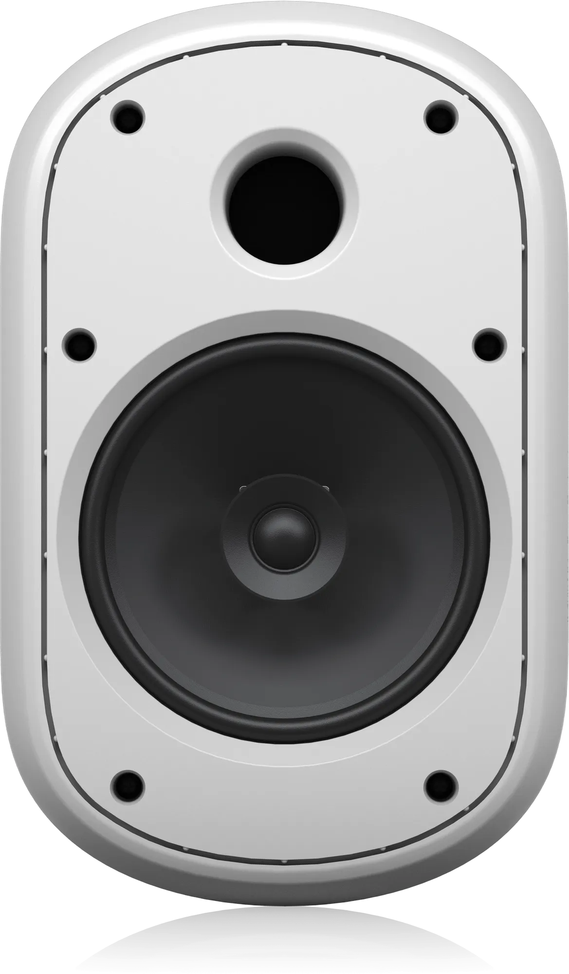 Tannoy DVS 601
