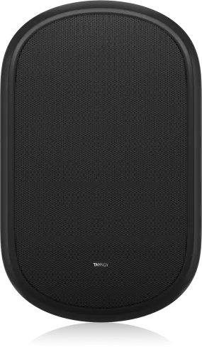 Tannoy DVS 601