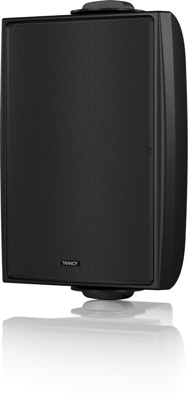 Tannoy DVS 6T