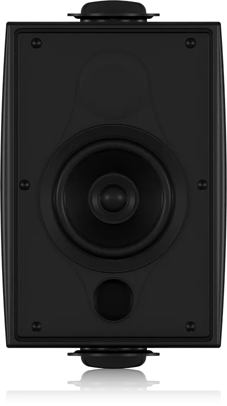 Tannoy DVS4
