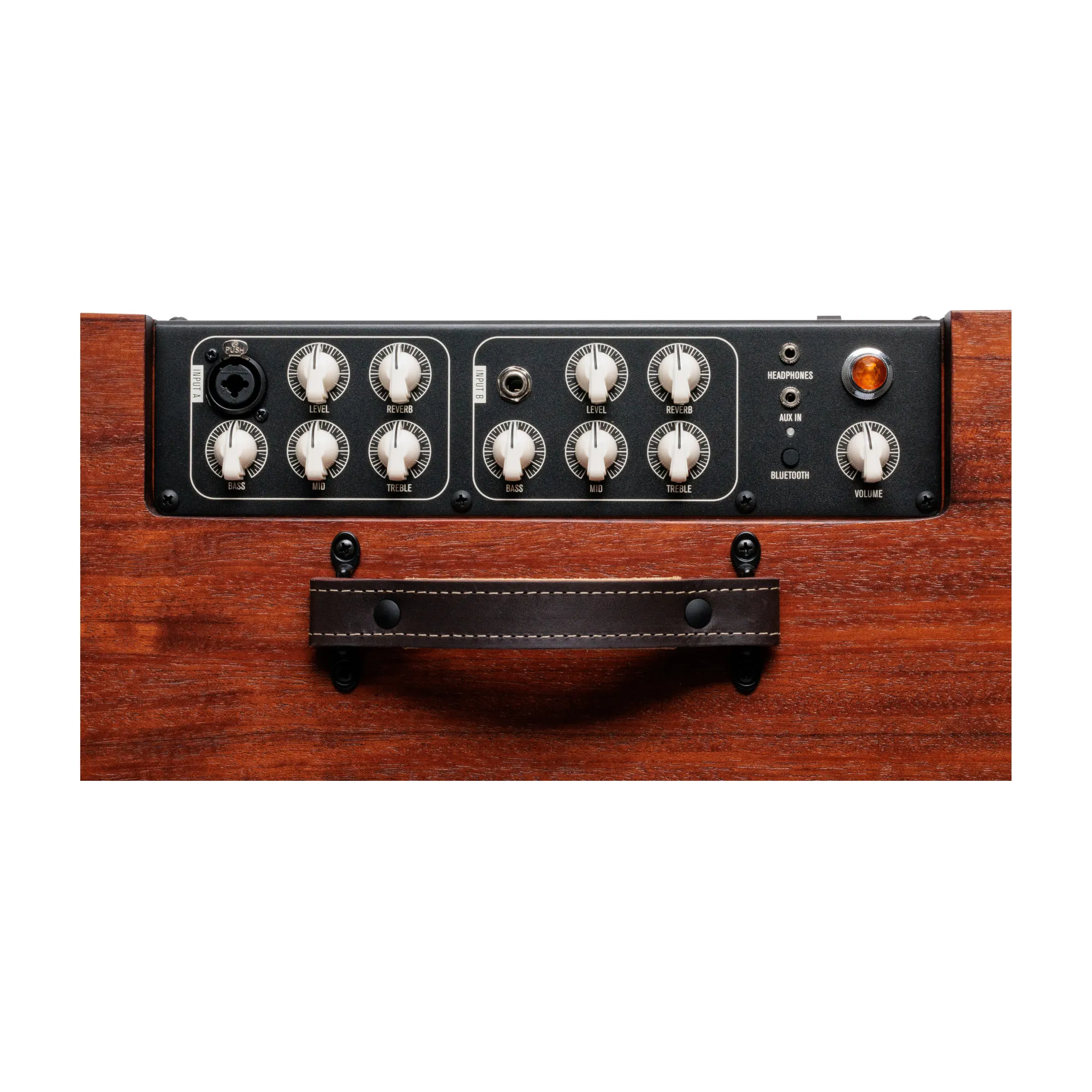 Taylor Circa 74 Acoustic Guitar/Vocal 1x10 Full-Range Combo Amplifier, Mahogany